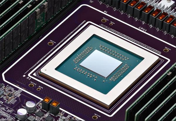 A Comprehensive Introduction of the Chip Giant1.jpg